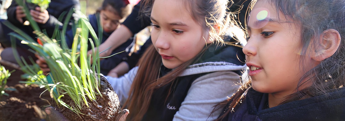 Imagen de Sostenibilidad